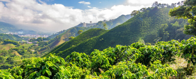 Kaffee Kogi Anbaugebiet in grünem Tal in Kolumbien